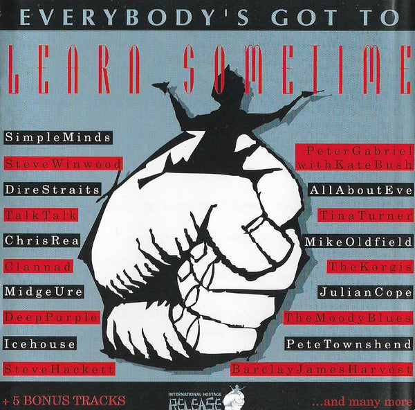 Various : Everybody's Got To Learn Sometime (2xCD, Comp)