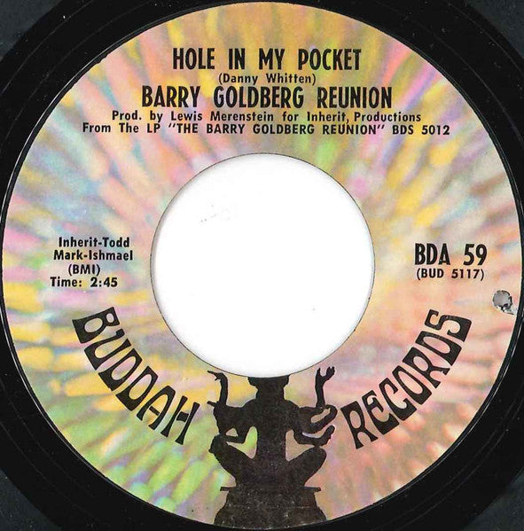 Barry Goldberg Reunion : Hole In My Pocket / Sittin' In Circles (7", Single, Styrene)