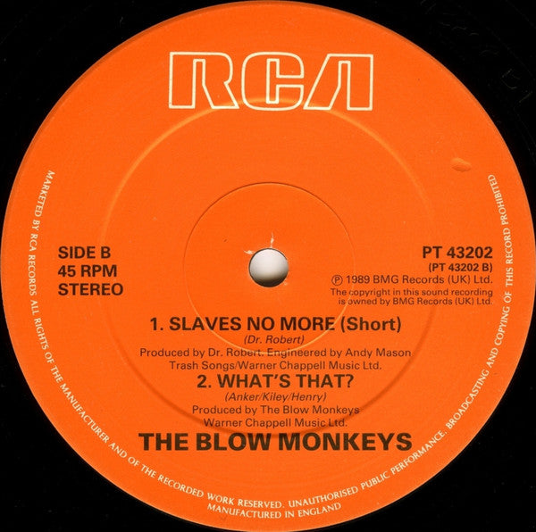 The Blow Monkeys Featuring Sylvia Tella : Slaves No More (12", Single)