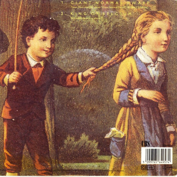 The Nits : Giant Normal Dwarf (7", Single)