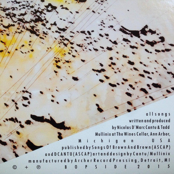 2 AM/FM : 2AMFM (2x12", Album)