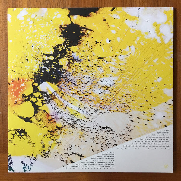 2 AM/FM : 2AMFM (2x12", Album)