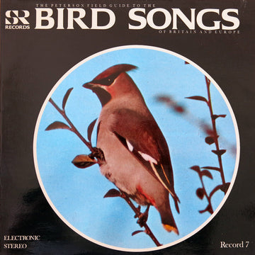 No Artist : The Peterson Field Guide To The Bird Songs Of Britain And Europe: Record 7 (LP)