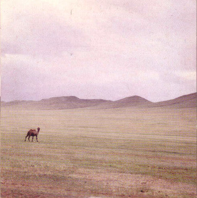 Frances-Marie Uitti / Stephen Vitiello : Uitti / Vitiello (CD, Mini)