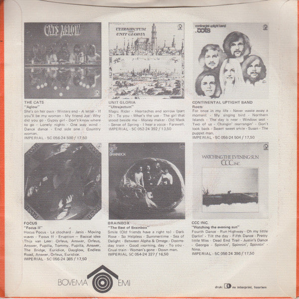 Mayflower : Rainsun Song (7")