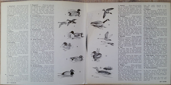 John Kirby (4) : Listen The Birds 10 = Hoor De Vogels 10 (7", EP, Gat)