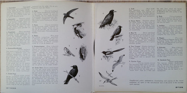 John Kirby (4) : Listen The Birds 12 = Hoor De Vogels 12 (7", EP)