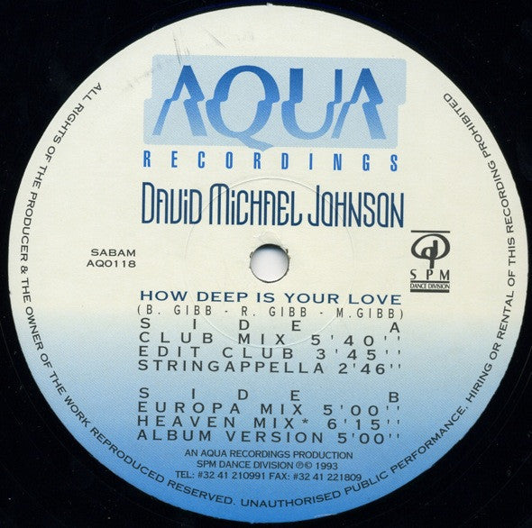 David Michael Johnson : How Deep Is Your Love (12")