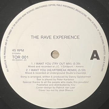 The Rave Experience : I Want You (12")