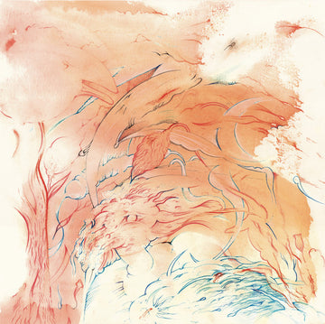Tiger Hatchery With Paul Flaherty : Live In New Haven (LP)