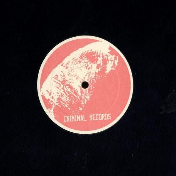 G. Digger + Johnjon Featuring Maral Salmassi : All The Girls (12")