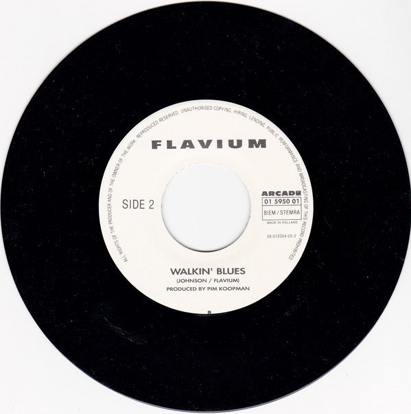 Flavium : Nightlife  (7", Single)