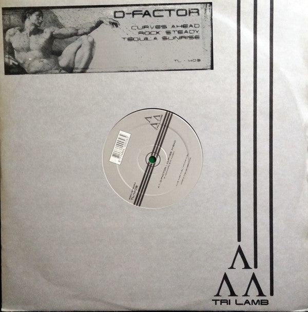 D-Factor : Curves Ahead (12")