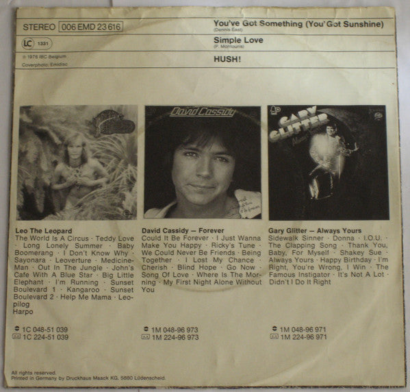 Hush (13) : You've Got Something (You Got Sunshine) (7", Single)
