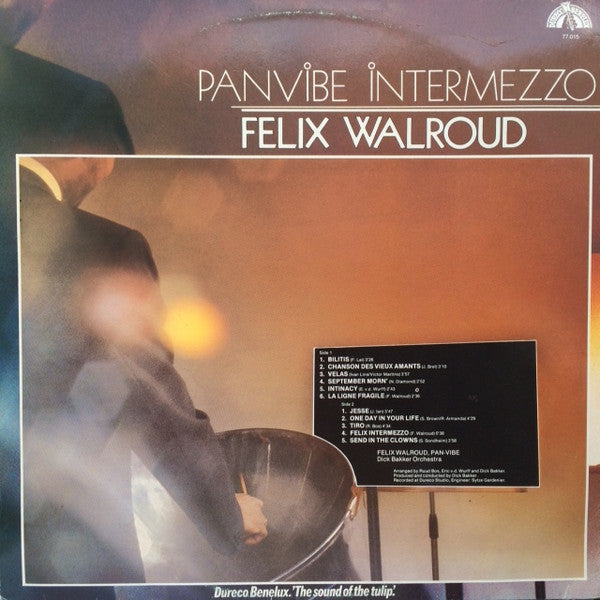 Felix Walroud : Panvibe Intermezzo (LP)