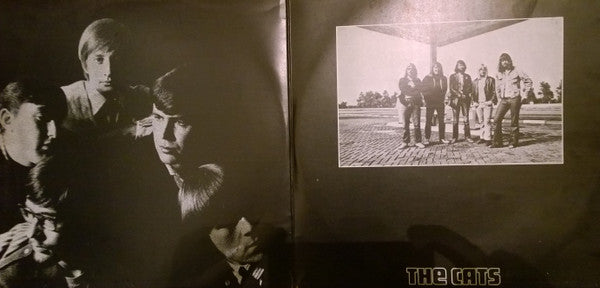 The Cats : Times Were When (2xLP, Comp)