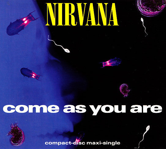 Nirvana : Come As You Are (CD, Maxi, Dig)