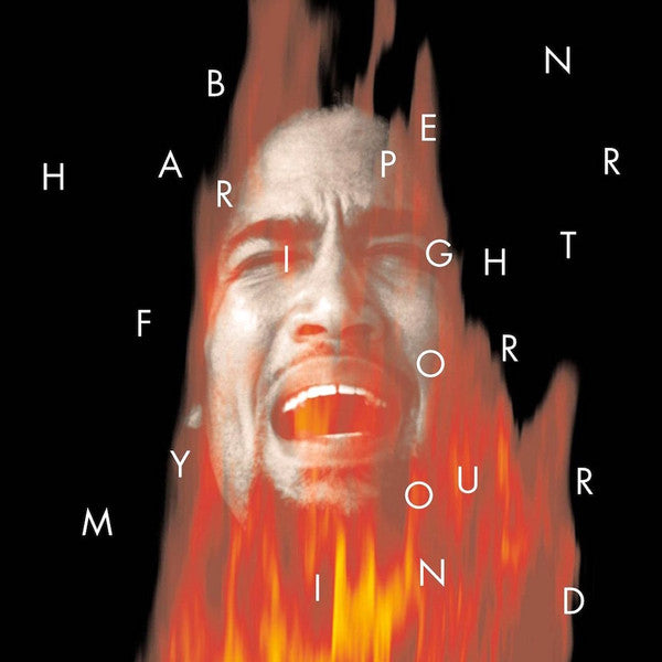 Ben Harper : Fight For Your Mind (2xLP, Album, RE, 180)