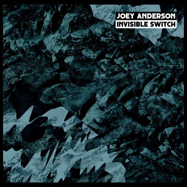 Joey Anderson (2) : Invisible Switch (2x12", Album)