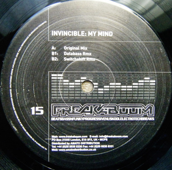 Invincible : My Mind (12")