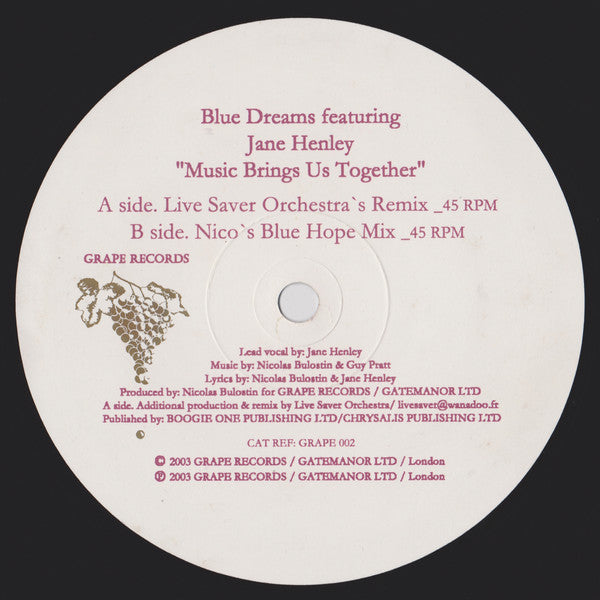 Blue Dreams Featuring Jane Henley : Music Brings Us Together (12")