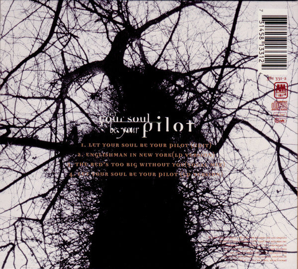 Sting : Let Your Soul Be Your Pilot (CD, Single, Dig)