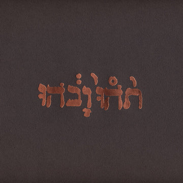 Godspeed You Black Emperor! : Slow Riot For New Zero Kanada E.P. (12", EP, Fad)