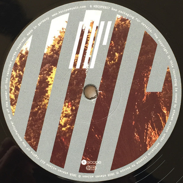 Steven Wilson : 4½ (LP, MiniAlbum)