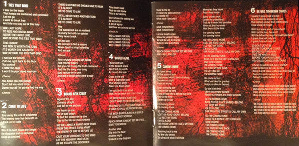 Alter Bridge : Blackbird (CD, Album, RP)