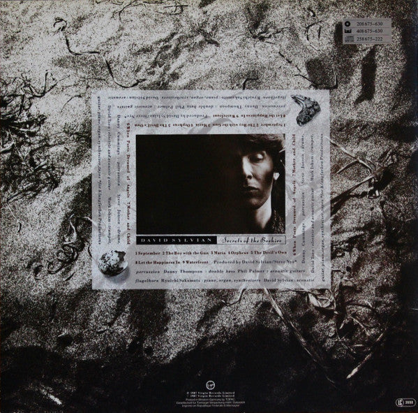David Sylvian : Secrets Of The Beehive (LP, Album, Glo)