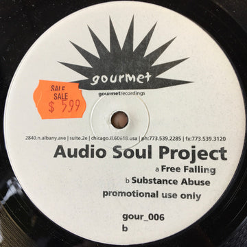 Audio Soul Project : Free Falling (12", Promo)