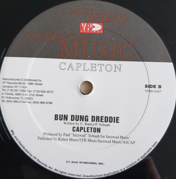 Capleton : Hunt You / Bun Dung Dreddie (12", Single)