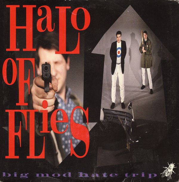 Halo Of Flies : Big Mod Hate Trip (7")