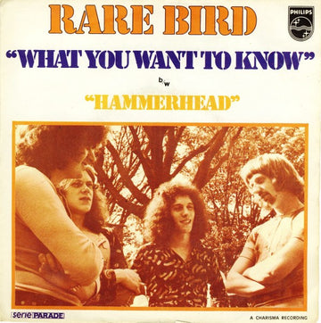 Rare Bird : What You Want To Know  (7", Single, RE)