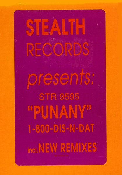 1-800-Dis-N-Dat : Punany (12")