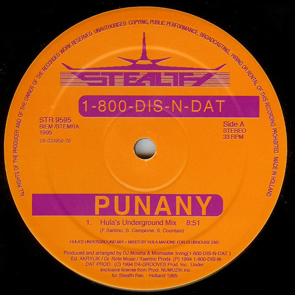 1-800-Dis-N-Dat : Punany (12")