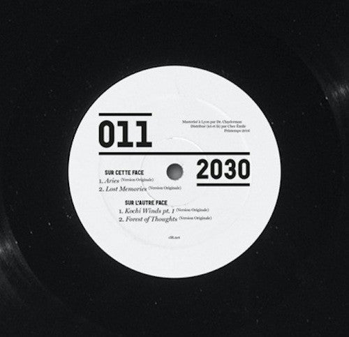 2030 : Prescience EP (12", EP)