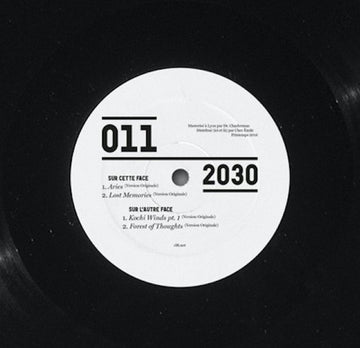 2030 : Prescience EP (12", EP)