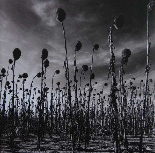 Dead Can Dance : Anastasis (2xLP, Album, RSD, Ltd, RE, Gre)