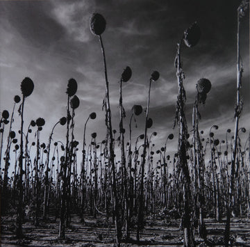 Dead Can Dance : Anastasis (2xLP, Album, RSD, Ltd, RE, Gre)