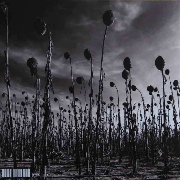 Dead Can Dance : Anastasis (2xLP, Album, RSD, Ltd, RE, Gre)