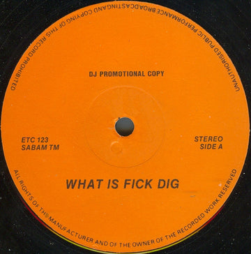 Friends Of Alex : What Is Fick Dig (12", Promo)