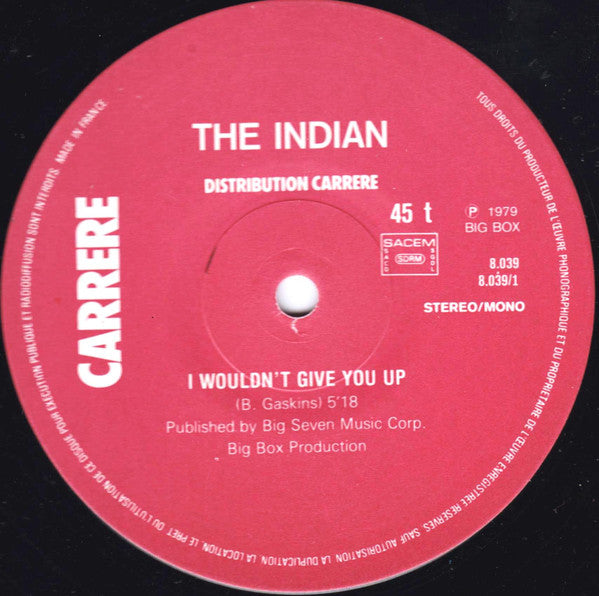 The Indian (3) : I Wouldn't Give You Up (12", Maxi)