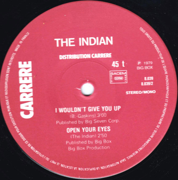 The Indian (3) : I Wouldn't Give You Up (12", Maxi)
