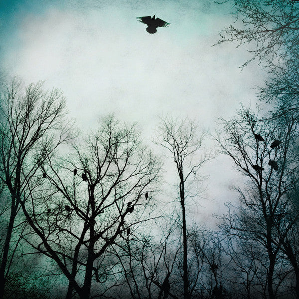 Over The Ocean : Be Given To The Soil (2xLP, Album, Ltd, RP, Ult)