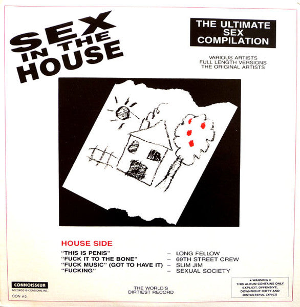 Various : Sex In The House / Sex In The Hood (LP, Comp)