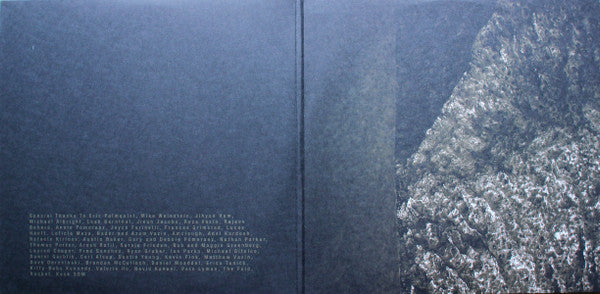 Whale Fall : Whale Fall (2xLP, Album, Ltd)