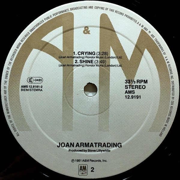 Joan Armatrading : The Weakness In Me (12", Maxi)