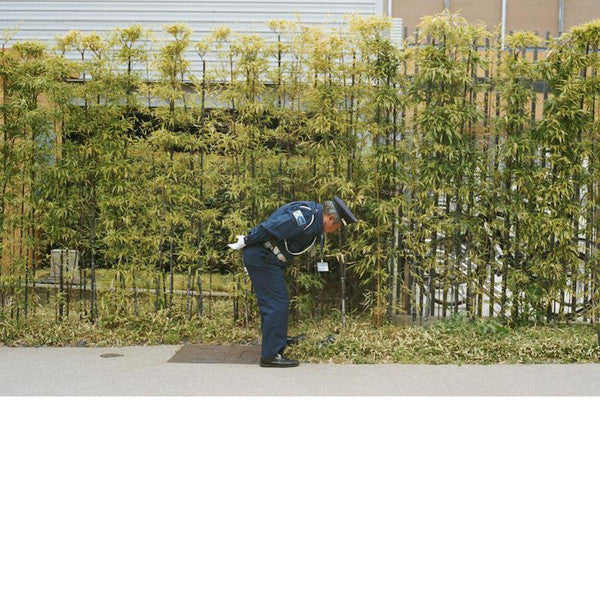 Gold Panda : Good Luck And Do Your Best (CD, Album, Promo)