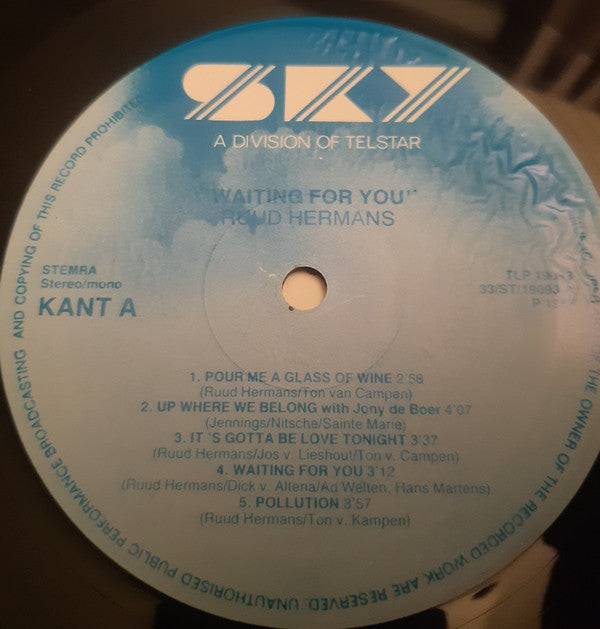 Ruud Hermans : Waiting For You (LP)